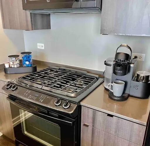 Penthouse In South Loop * Chicago